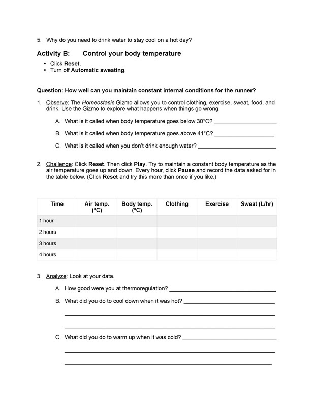 Navigation karyotyping virtual lab activity answer sheet explore learning gizmo answer key human karyotyping Lausd Gizmos Blog