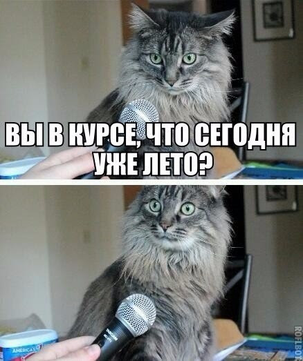 Самый полезный паблик в истории самой отмороженной опг. Zhejnen Berenche Kone Nichek Ute Oyatsyz Tatarin Vkontakte