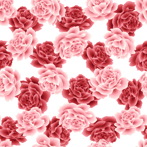 Hd限定薔薇 壁紙 素材 花の画像