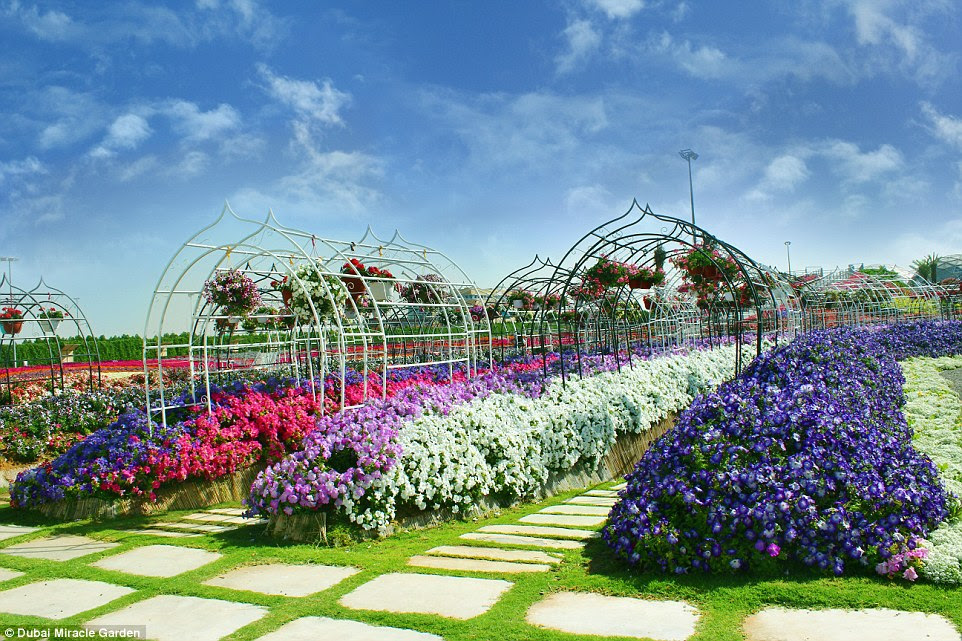 If the natural landscape was not incredible enough, what makes this attraction particularly impressive is the unique sub-surface irrigation system that recycles waste water via drip irrigation while avoiding evaporation and saving up to 75 per cent of water and energy