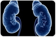 New research reverses the understanding of kidney tumor growth