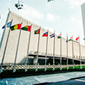 Rabbi Shimon and Garfunkel on the UN Vote