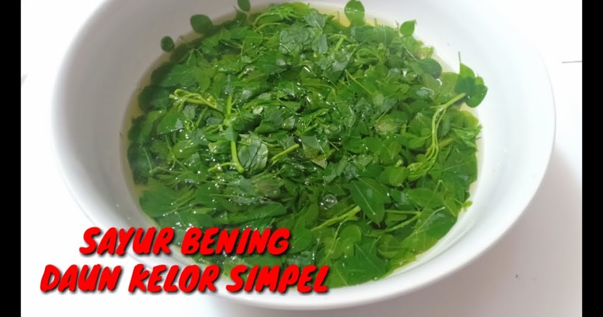 Cara Memasak Sayur Gori : CARA MEMASAK SAYUR LODEH ENAK ...