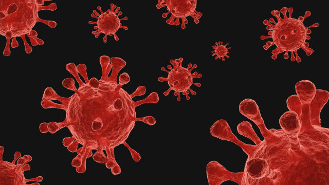 Covid-19. Infecção pode reativar vírus antigos no corpo
