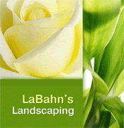 Do you want to know the cost of your project? San Diego California Landscaping Resources