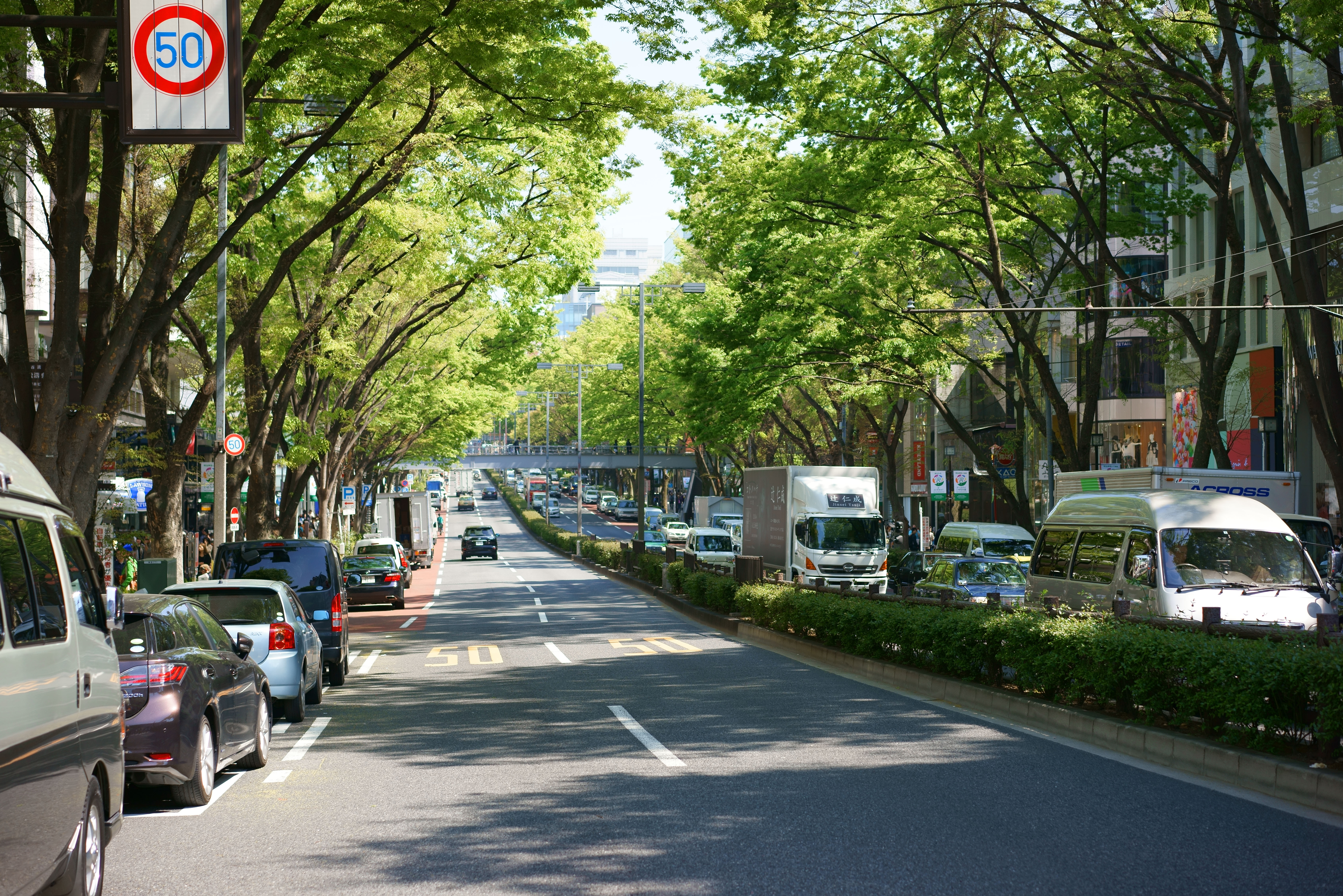 最高かつ最も包括的な原宿 壁紙 花の画像