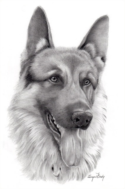 Pencil Cute Realistic Drawings Of Animals