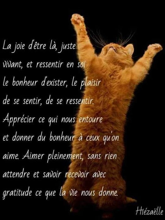 Citation De Joie Et Damour Best Citations D Amour