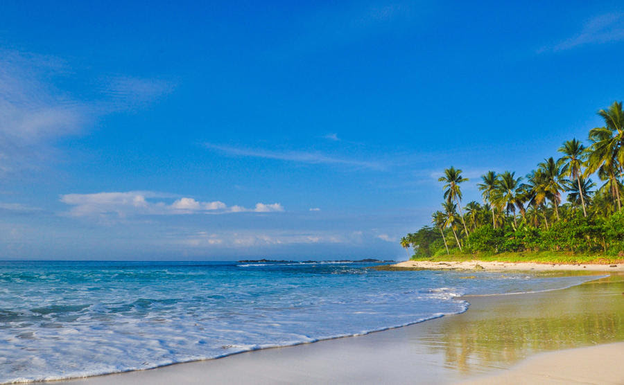 pemandangan di tepi pantai