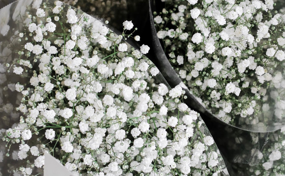 Il prezzo del mazzo di fiori bianchi varia dalla quantità di fiori inseriti nella composizione floreale. Velo Da Sposa Consigli Di Cura E Coltivazione Bestprato