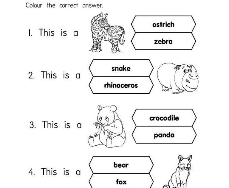 Contoh Soalan Latihan Sains Prasekolah - Soalan aa