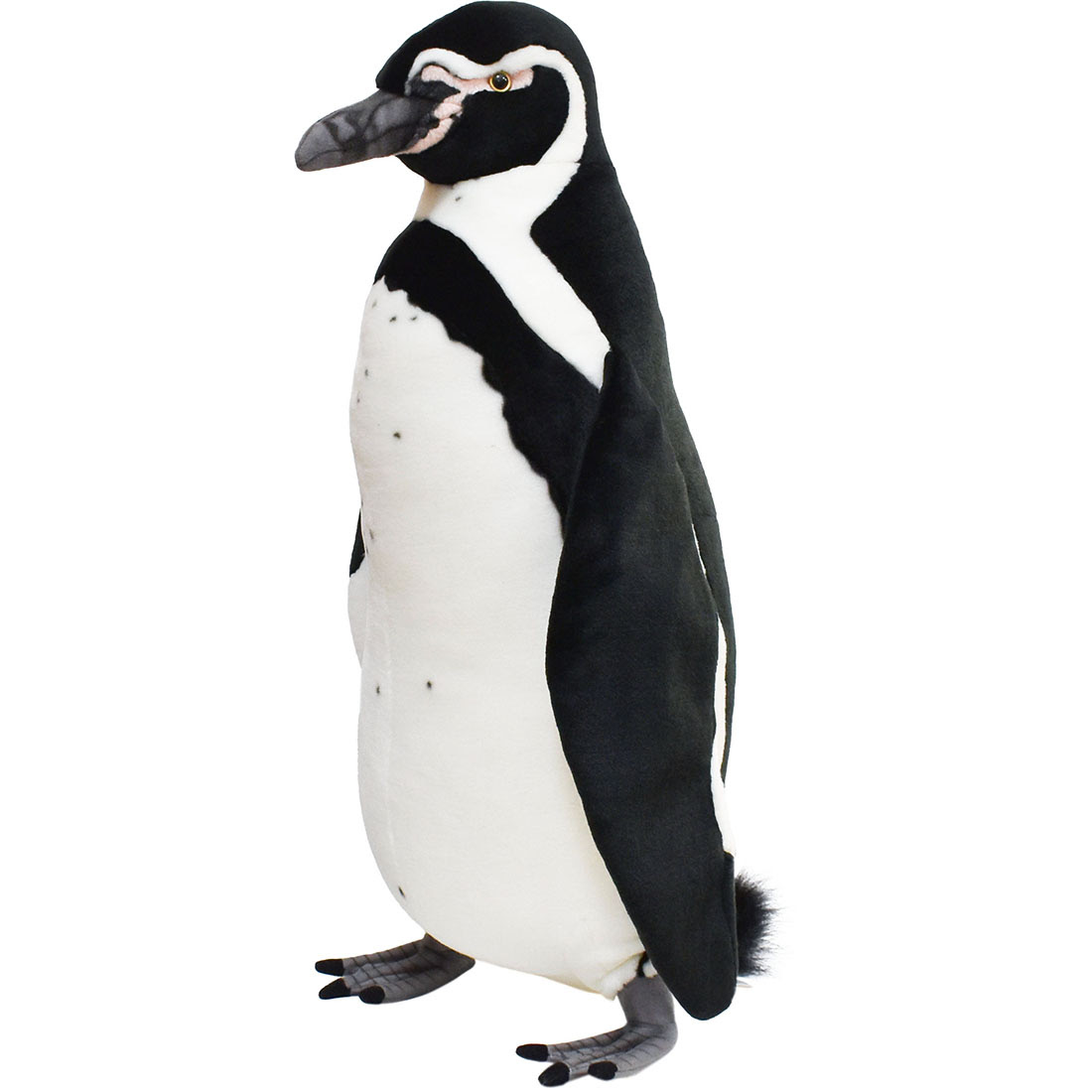 ベストコレクション フンボルトペンギン 増えすぎ 海外の反応 フンボルトペンギン 増えすぎ 海外の反応 Mbaheblogjpxden