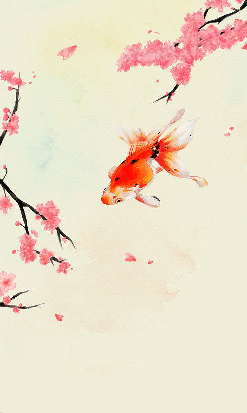 綺麗なiphone 壁紙 金魚 美しい花の画像