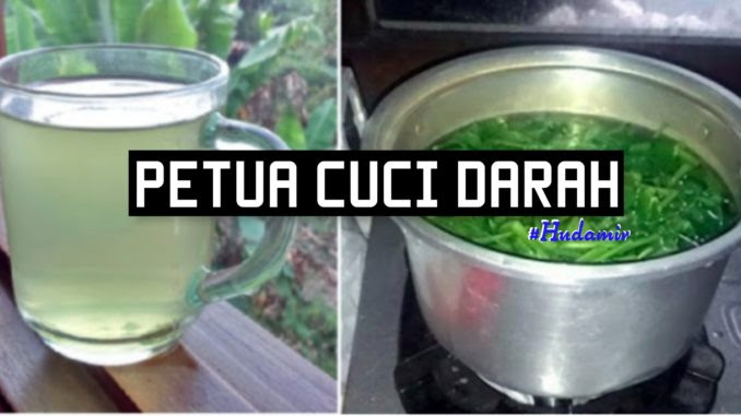 Ubat Sakit Buah Pinggang Tradisional - Berubat n