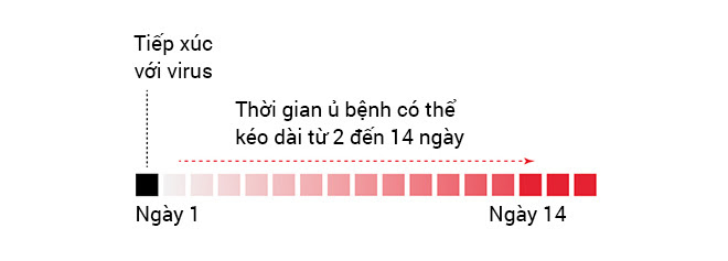 Những người tuyệt vọng ở Vũ Hán và đại dịch Corona nhìn từ đồ họa trực quan - Ảnh 23.