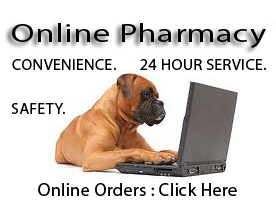 3004 little york rd, houston, tx 77093. Affordable Pet Clinic Veterinarian In Houston Tx Us