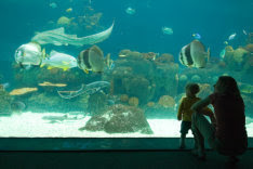 MN Zoo Aquarium
