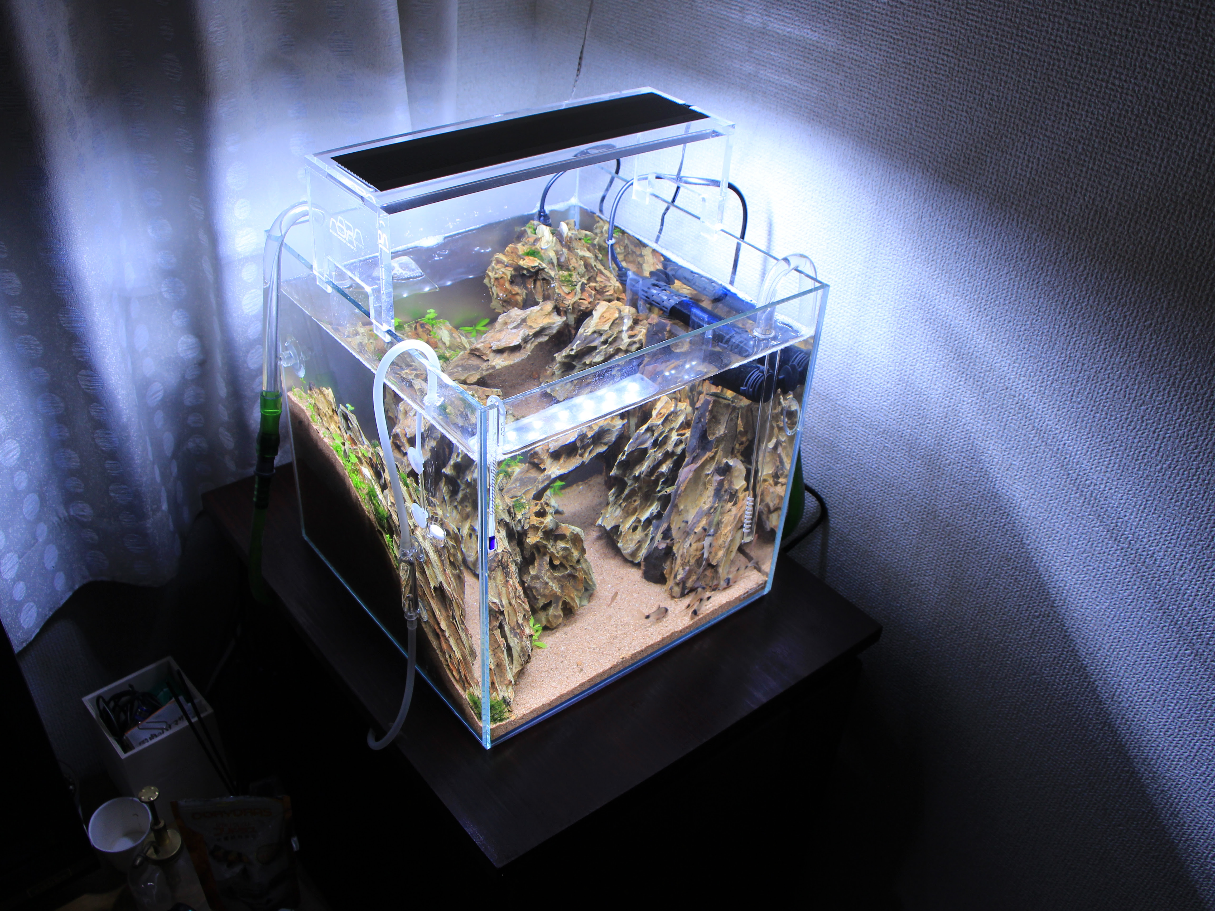 ベストコレクション キューブ 水槽 レイアウト 30 キューブ 水槽 レイアウト