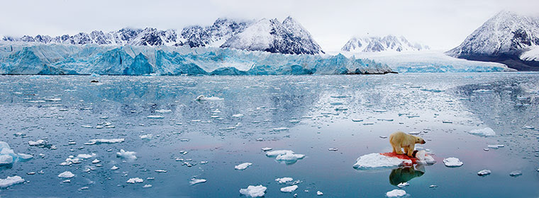 NHM Book: The Masters of Nature Photography : PAL HERMANSEN POLAR PANORAMA