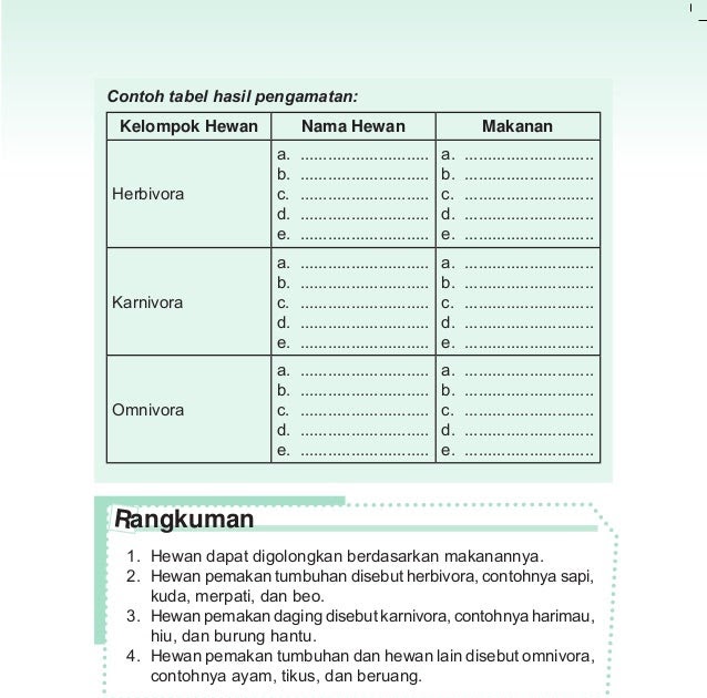 Contoh Hewan Insektivora Dan Makanannya - Contoh SR