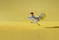 最高のマインクラフト 最新のhd鶏 飛ぶ 動画