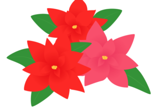 動物画像のすべて 元のクリスマス 花 イラスト