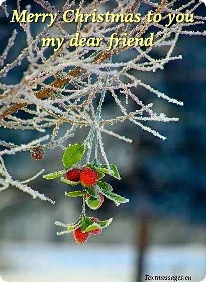 Merry Christmas To My Best Friend Quotes - friend quotes