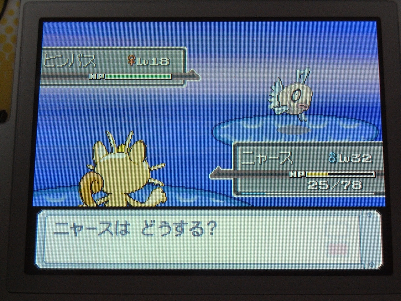 ポケモン ダイヤモンド ヒンバス イメージポケモンコレクション