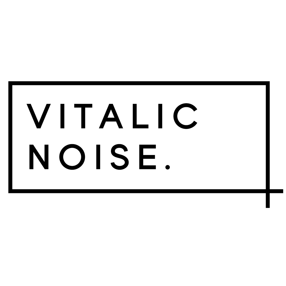 vitalic noise