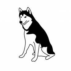 かわいい動物画像 元のハスキー イラスト