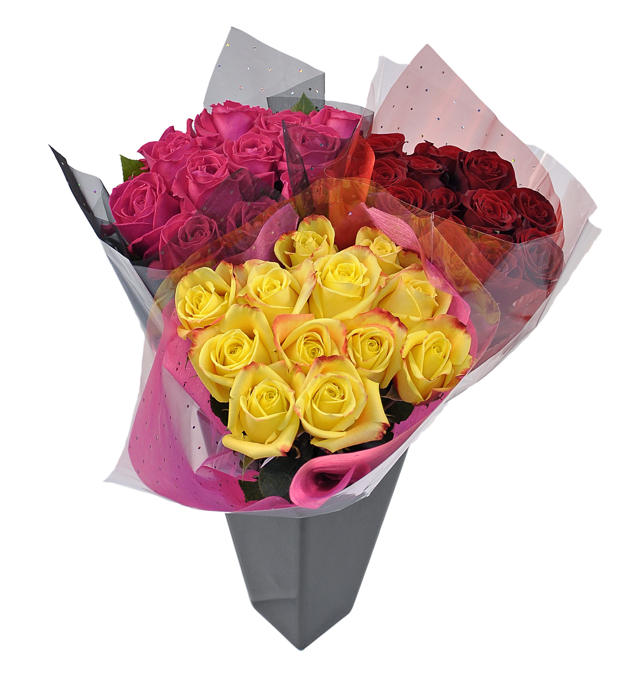 Check spelling or type a new query. Winn Dixie Shows Shoppers Lots Of Love Progressive Grocer