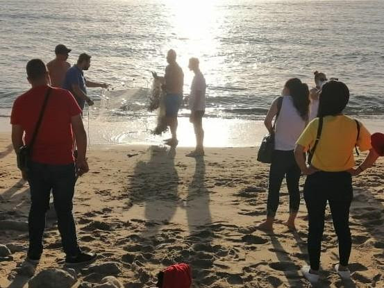 “Cast your nets,” public beach, Sidon, Lebanon