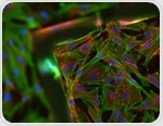 Avoiding Cell Death in Fluorescence Microscopy