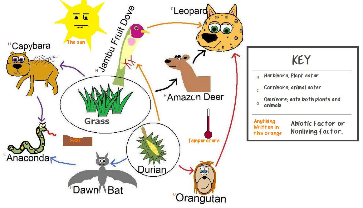 Capybara Food Web