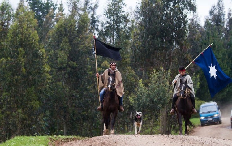 mapuche