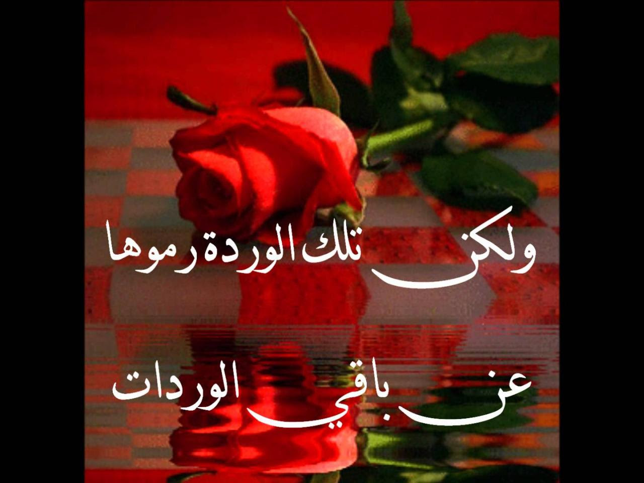 العالم الذي تمكن من بلورة فيروس فسيفساء التبغ tmv. Ø¤Ø±Ø¯ Ø­Ø¨