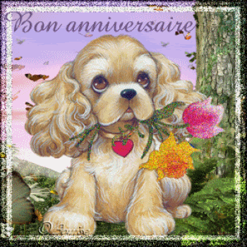 Inspiration Gif Anniversaire Chien Abdofolio