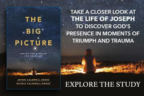 The Big Picture