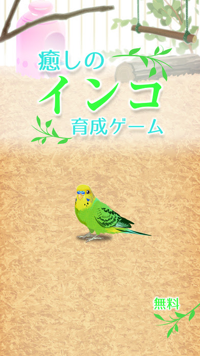 動物画像無料 最高セキセイ インコ 可愛い しぐさ