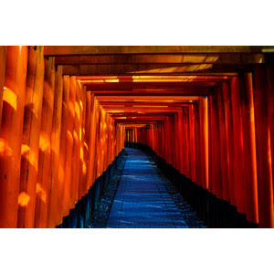新鮮な神社 イラスト 背景 夜 動物ゾーン