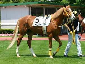 馬 番 オッズ （人気） 着順 タイム （上がり3f） 着差 騎手 斤量 kg 1着馬（2着馬） 馬体重 kg 出典 2018. ã‚¹ãƒ†ãƒƒãƒ—ã‚·ãƒãƒ¼