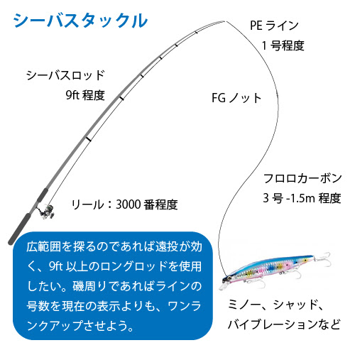 ベスト堤防 シーバス 夜 魚のすべて