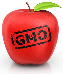 gmo-apple