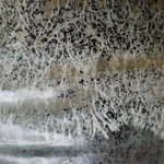 トップ 100 Mycelium 意味 マインクラフトの最高のアイデア
