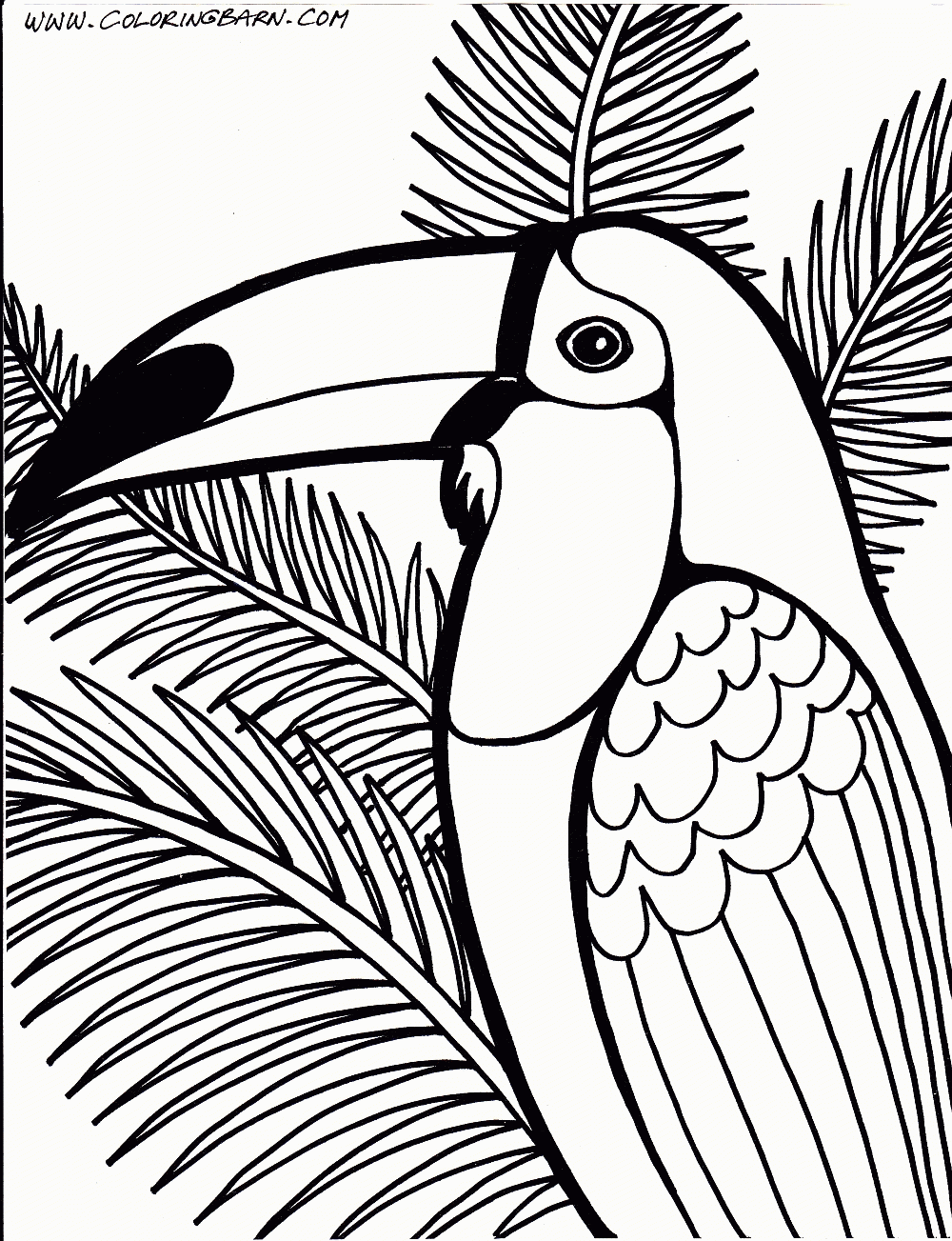 Animals with jungle easy drawing. Free Rainforest Animals Coloring Pages Free Download Free Rainforest Animals Coloring Pages Free Png Images Free Cliparts On Clipart Library