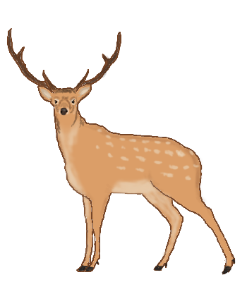 Japan Image 鹿 イラスト