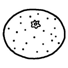 動物画像無料 50 素晴らしいみかん イラスト 白黒