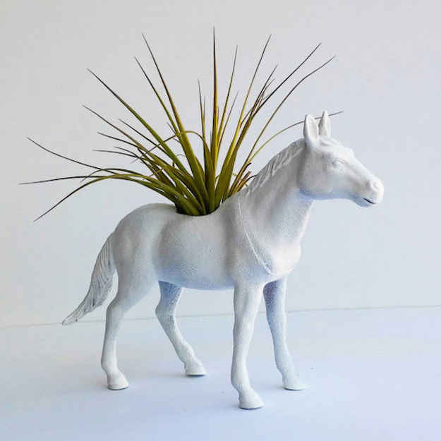 This horse planter that comes with an air plant.