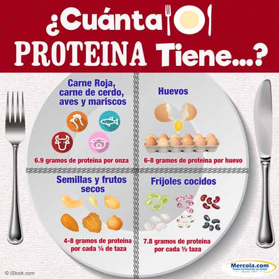 cuanta proteina tiene