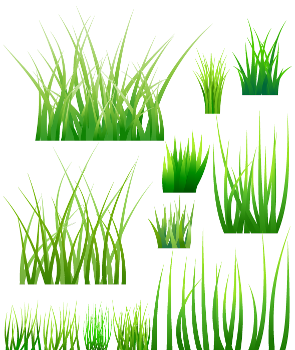 美しい花の画像 最高の草 イラスト フリー